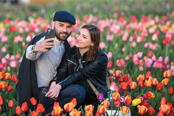 Cặp đôi chụp ảnh tự sướng trên cánh đồng hoa tulip ở Arese, Ý. - Sputnik Việt Nam