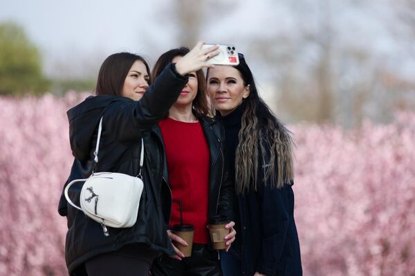 Cô gái chụp ảnh trên phông nền mận &quot;Nigra&quot; trong công viên &quot;Krasnodar&quot;. - Sputnik Việt Nam