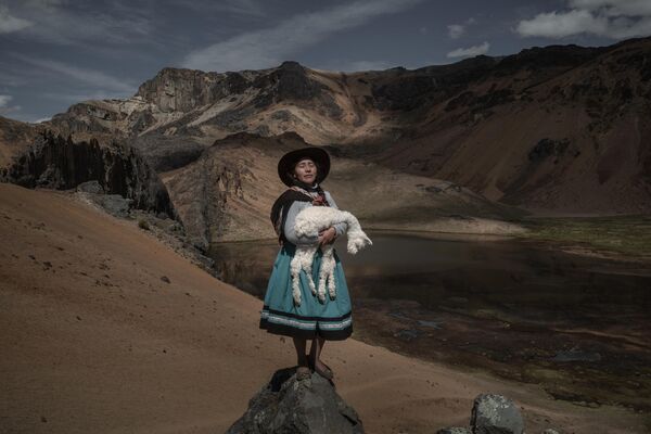 Nhiếp ảnh gia Alessandro Cinque (Peru) với sê-ri ảnh Alpaqueros, chiến thắng World Press Photo Contest Regional 2023 ở hạng mục South America STORIES (Câu chuyện Nam Mỹ). - Sputnik Việt Nam