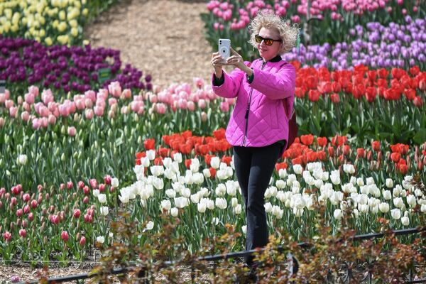 Du khách chụp ảnh tại lễ khai mạc cuộc triển lãm Diễu hành Hoa Tulip hàng năm tại Vườn Bách thảo Nikitsky ở Crưm. - Sputnik Việt Nam