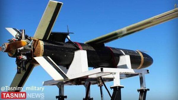 Máy bay không người lái kamikaze với đầu đạn 50kg - Sputnik Việt Nam