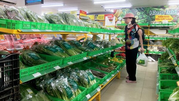 Thành phố Hồ Chí Minh: Kích cầu tiêu dùng các mặt hàng lương thực, thực phẩm - Sputnik Việt Nam