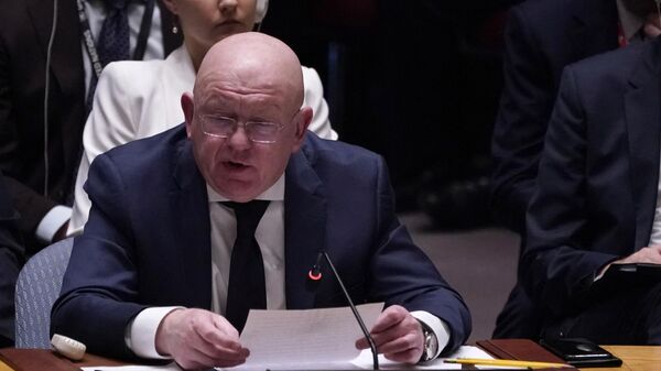 Vasily Nebenzya, Đại diện thường trực của Nga tại Liên hợp quốc - Sputnik Việt Nam