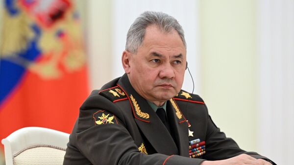 Bộ trưởng Bộ Quốc phòng Sergei Shoigu - Sputnik Việt Nam