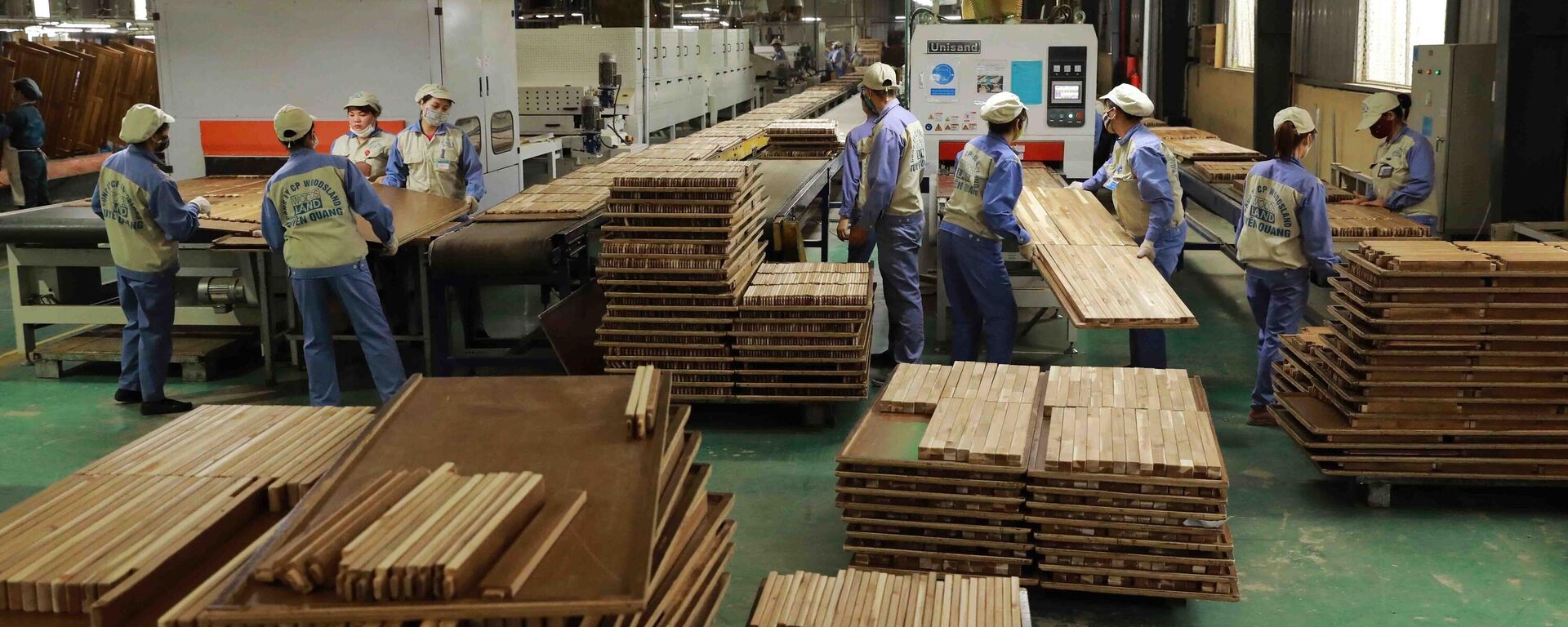 Nhà máy chế biến gỗ của Công ty CP Woodsland Tuyên Quang có công suất thiết kế 150.000 m3/năm. - Sputnik Việt Nam, 1920, 17.05.2023