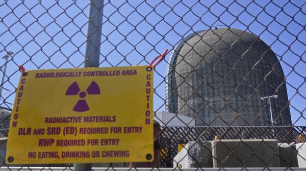 Lò phản ứng hạt nhân tại nhà máy hạt nhân ở Buchanan, Mỹ - Sputnik Việt Nam