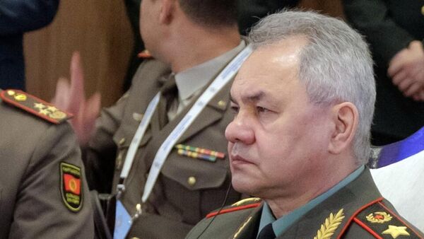 Bộ trưởng Quốc phòng Nga Sergei Shoigu - Sputnik Việt Nam