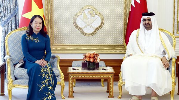 Phó Chủ tịch nước Võ Thị Ánh Xuân hội đàm với Phó Quốc vương Qatar - Sputnik Việt Nam