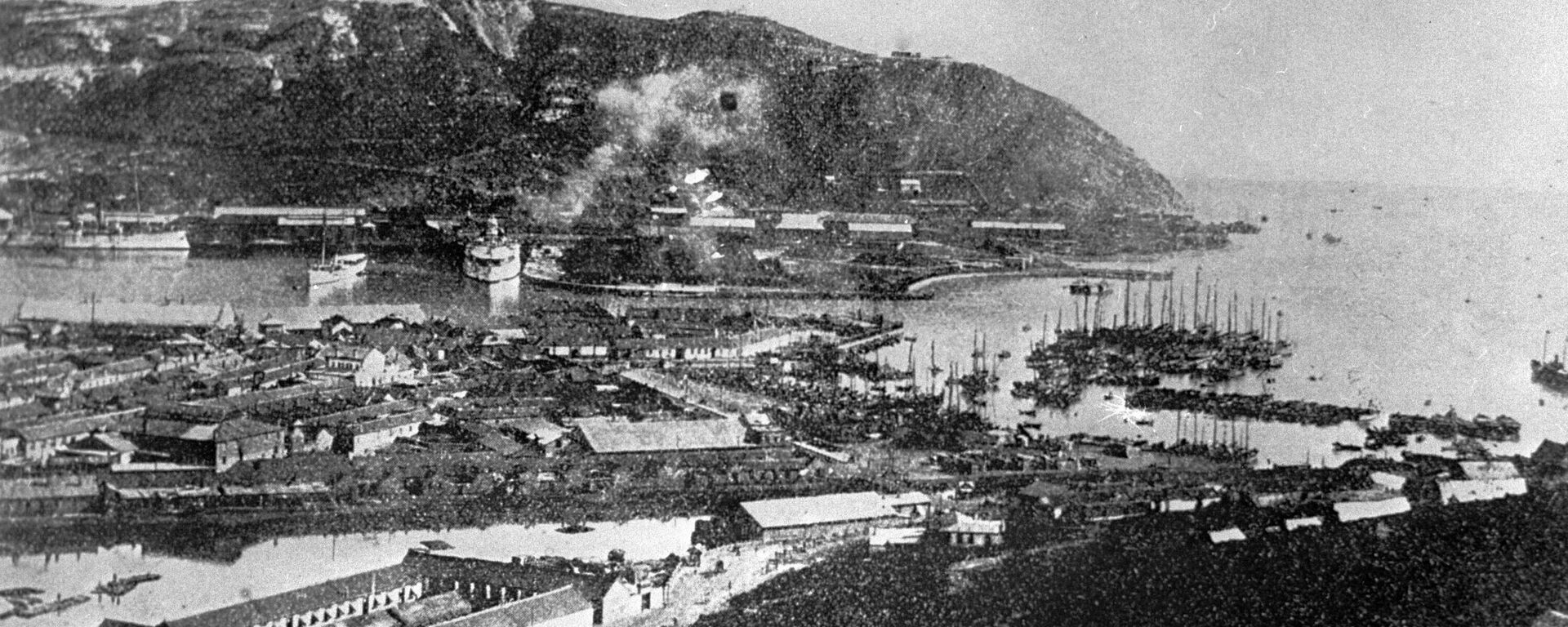 Toàn cảnh thành phố Port Arthur - Sputnik Việt Nam, 1920, 15.05.2023