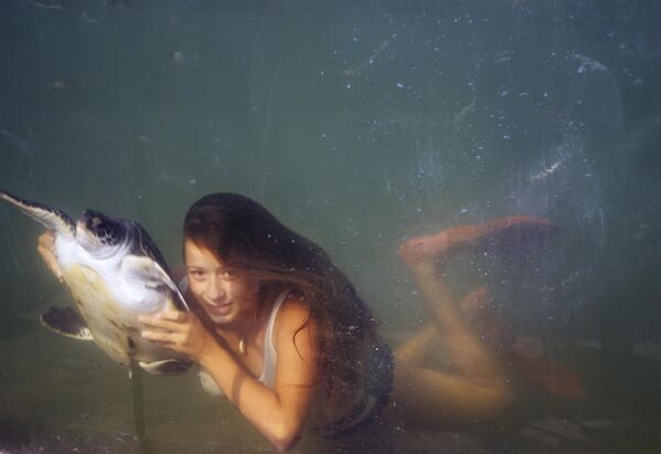 Thợ lặn với một con rùa. - Sputnik Việt Nam