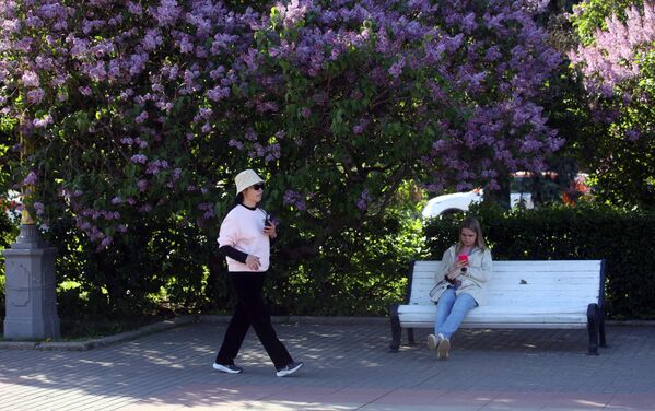 Những người phụ nữ bên bụi tử đinh hương đang nở hoa ở Moskva. - Sputnik Việt Nam