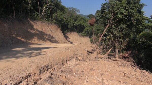 Cần làm rõ cá nhân, tổ chức phá rừng KfW6 để mở đường ở Quảng Ngãi - Sputnik Việt Nam