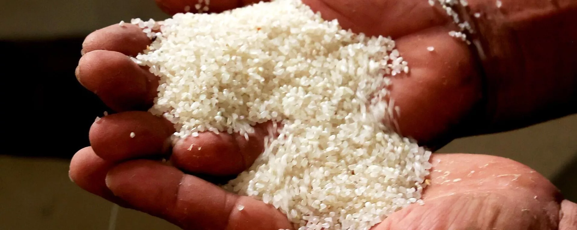 In the photo: Broken rice, the raw material for cooking broken rice, is smaller than a normal grain of rice.  - Sputnik Vietnam, 1920, 02.06.2023