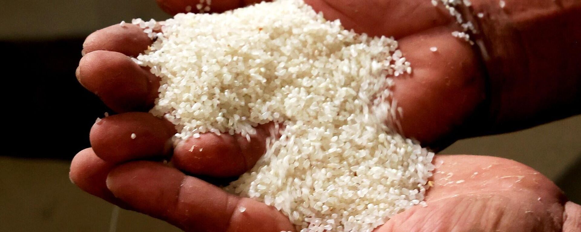Trong ảnh: Gạo tấm, nguyên liệu để nấu cơm tấm, nhỏ hơn hạt gạo bình thường. - Sputnik Việt Nam, 1920, 21.07.2023