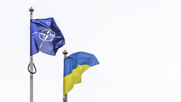 Lá cờ NATO và Ukraina - Sputnik Việt Nam