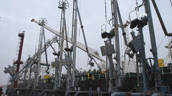 Lô dầu thô giảm giá đầu tiên của Nga đã đến Karachi được thanh toán bằng nhân dân tệ - Sputnik Việt Nam