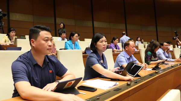 Đại biểu Quốc hội biểu quyết thông qua Luật Bảo vệ quyền lợi người tiêu dùng  - Sputnik Việt Nam