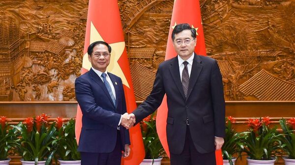 Bộ trưởng Ngoại giao Bùi Thanh Sơn gặp Ủy viên Quốc vụ, Bộ trưởng Ngoại giao Trung Quốc Tần Cương - Sputnik Việt Nam