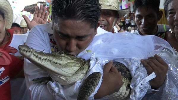 Độc lạ Mexico: Thị trưởng kết hôn với cá sấu - Sputnik Việt Nam
