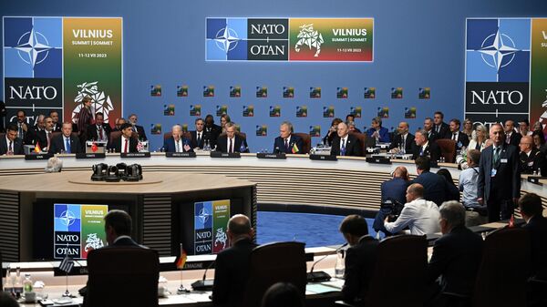 Hội nghị thượng đỉnh NATO ở Vilnius - Sputnik Việt Nam