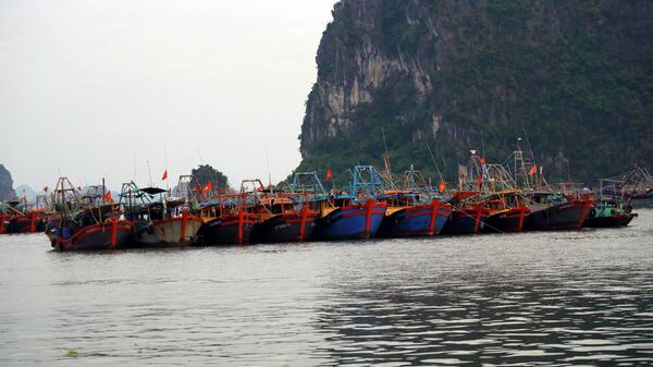 Tàu đánh cá của ngư dân được neo đậu an toàn tại vùng biển Hòn Gai. - Sputnik Việt Nam