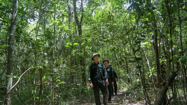 Tây Ninh tăng cường công tác bảo vệ rừng trên tuyến biên giới  - Sputnik Việt Nam