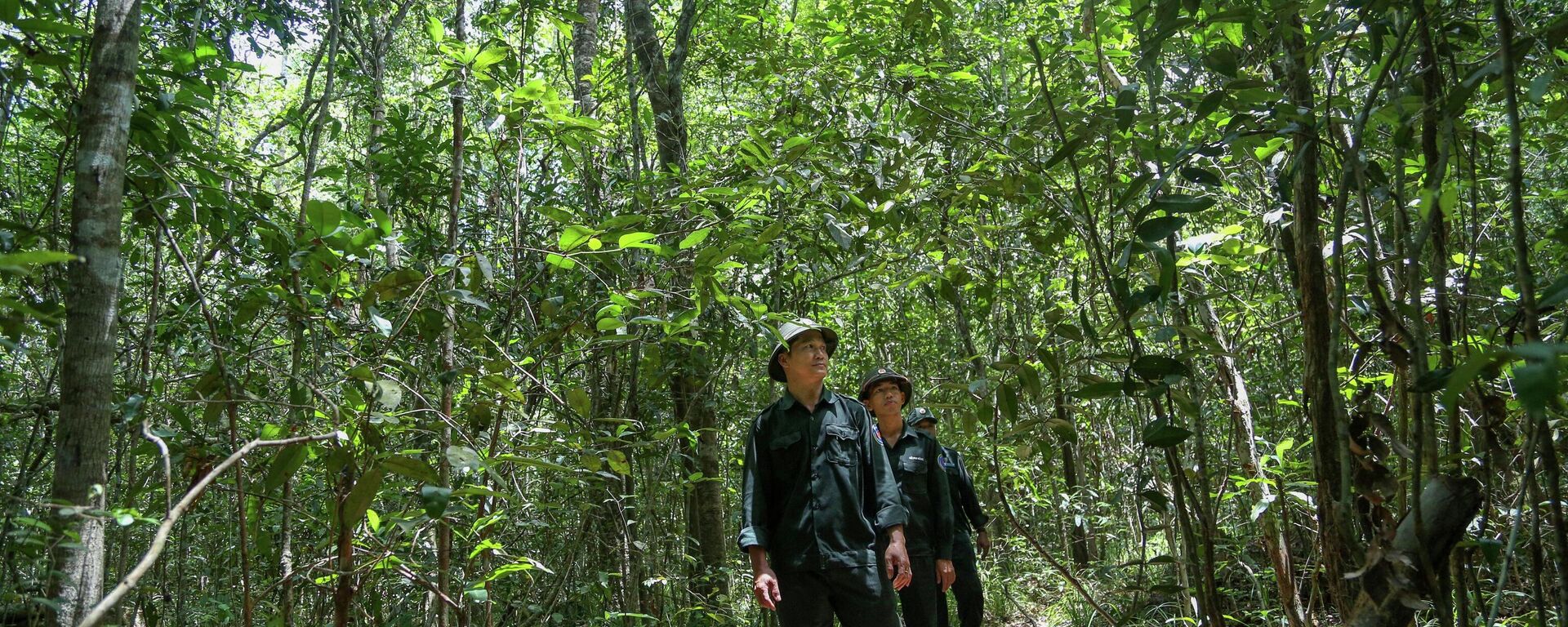 Tây Ninh tăng cường công tác bảo vệ rừng trên tuyến biên giới  - Sputnik Việt Nam, 1920, 06.09.2023