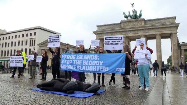 Các nhà hoạt động PETA ở Berlin phản đối cuộc săn cá voi gây tranh cãi ở Quần đảo Faroe - Sputnik Việt Nam
