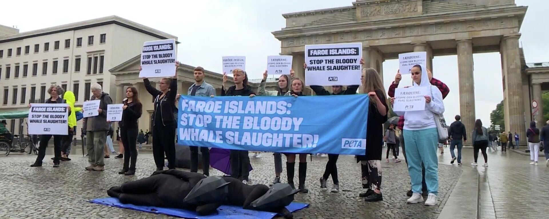 Các nhà hoạt động PETA ở Berlin phản đối cuộc săn cá voi gây tranh cãi ở Quần đảo Faroe - Sputnik Việt Nam, 1920, 07.08.2023