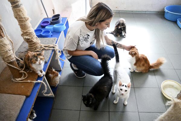 Nhân viên trạm động vật vô chủ Pif ở Donetsk. cùng với các con thú cưng. - Sputnik Việt Nam