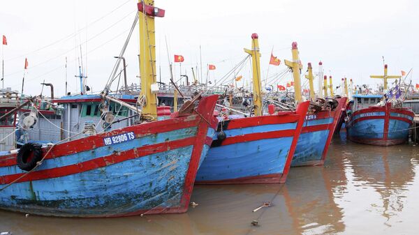 Tàu thuyền neo đậu tại Cảng cá Nam Định để tránh bão. - Sputnik Việt Nam
