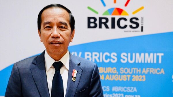 Tổng thống Indonesia Joko Widodo tại Hội nghị thượng đỉnh BRICS - Sputnik Việt Nam