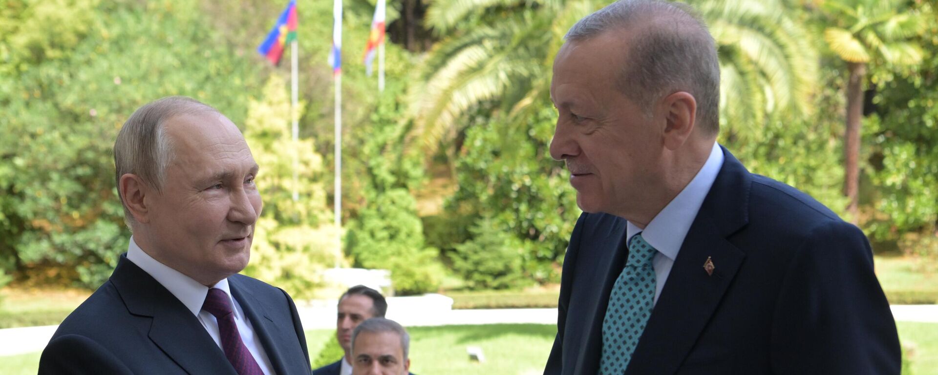 Tổng thống Nga V. Putin hội đàm với Tổng thống Thổ Nhĩ Kỳ R. T. Erdogan - Sputnik Việt Nam, 1920, 04.09.2023