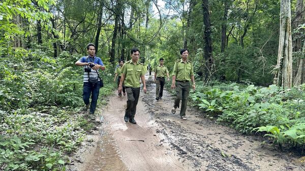 Khảo sát khu vực rừng sẽ làm hồ chứa nước Ka Pét tại Bình Thuận - Sputnik Việt Nam