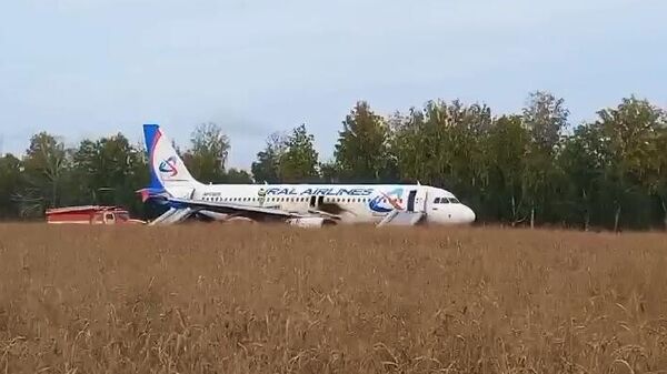 Máy bay hạ cánh khẩn cấp xuống mặt đất ở quận Ubinsky, vùng Novosibirsk - Sputnik Việt Nam