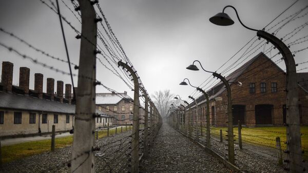 Hướng tới kỷ niệm 70 năm Hồng quân giải phóng trại tập trung Auschwitz-Birkenau (Auschwitz) - Sputnik Việt Nam