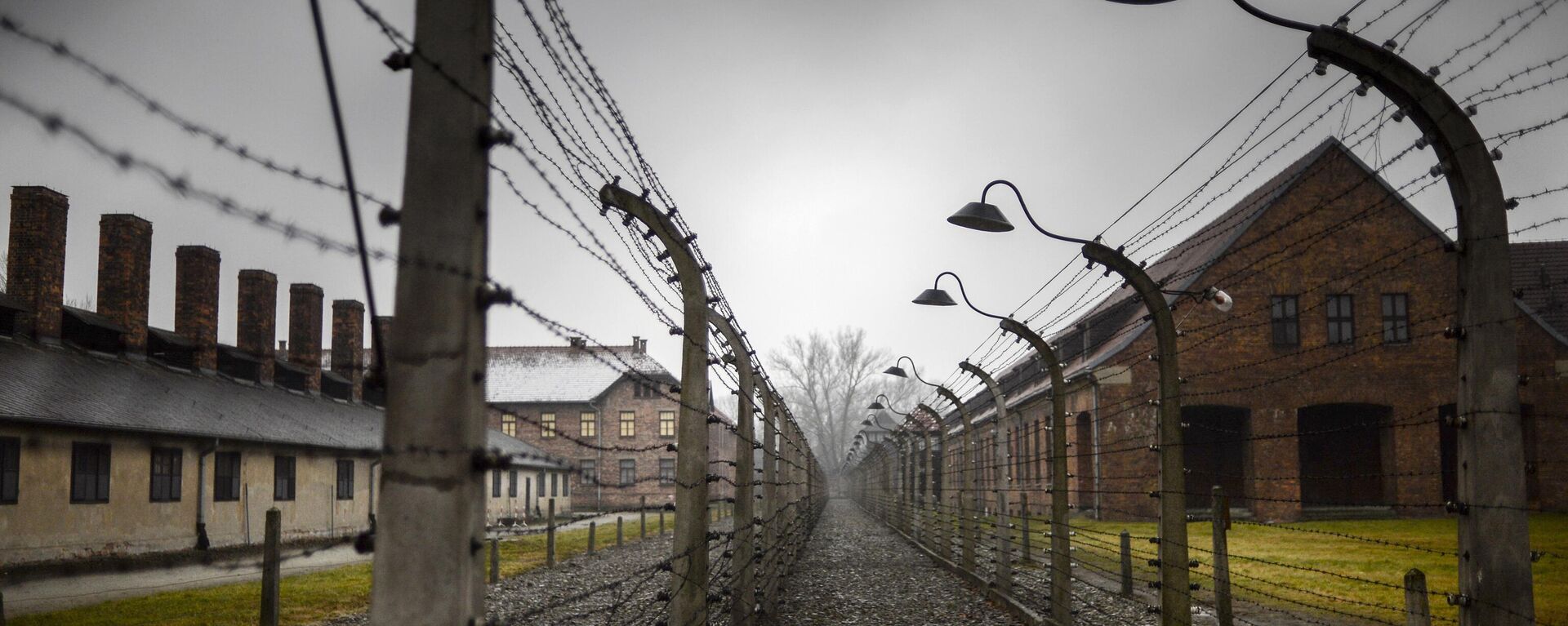 Hướng tới kỷ niệm 70 năm Hồng quân giải phóng trại tập trung Auschwitz-Birkenau (Auschwitz) - Sputnik Việt Nam, 1920, 27.09.2023