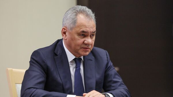 Bộ trưởng Bộ Quốc phòng Nga Sergei Shoigu - Sputnik Việt Nam