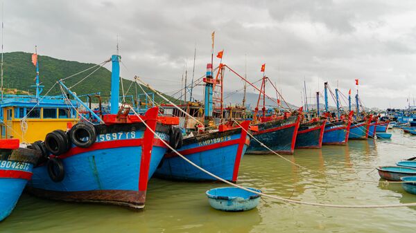 Cảng tàu cá Việt Nam - Sputnik Việt Nam