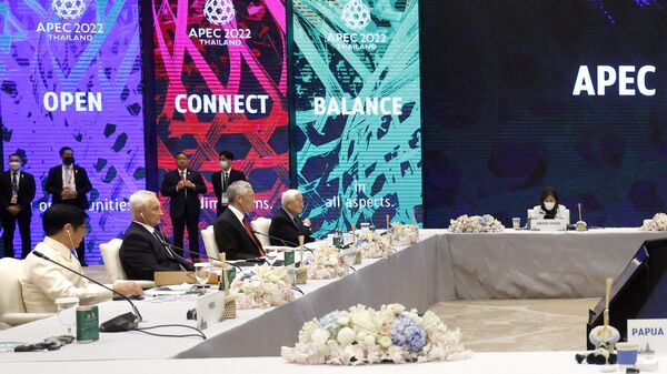 Hội nghị thượng đỉnh Hợp tác kinh tế châu Á-Thái Bình Dương. Ngày thứ hai - Sputnik Việt Nam
