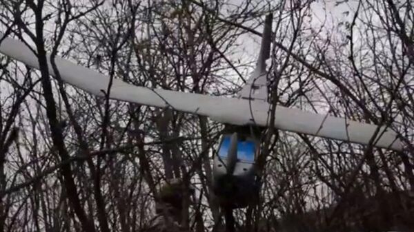 Quân đội Nga buộc UAV Puma của Mỹ hạ cánh ở vùng Zaporozhye - Sputnik Việt Nam