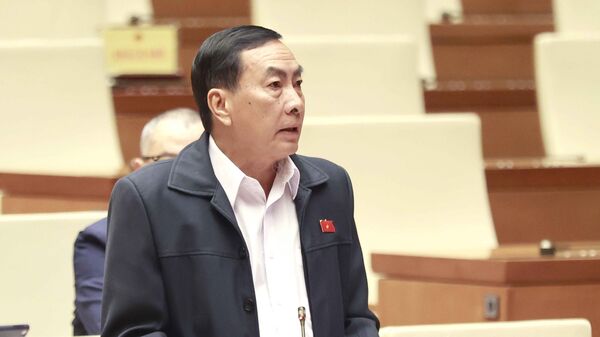 Quốc hội thảo luận về công tác phòng, chống tội phạm và vi phạm pháp luật - Sputnik Việt Nam