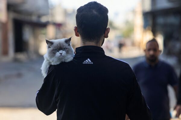 Một người Palestine bế con mèo trên đường đến nơi trú ẩn trong vụ Israel không kích vào Rafah ở phía nam Dải Gaza - Sputnik Việt Nam