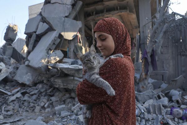 Bé gái Palestine bế con mèo giữa đống đổ nát sau vụ Israel đánh bom vaog Rafah ở phía nam Dải Gaza - Sputnik Việt Nam