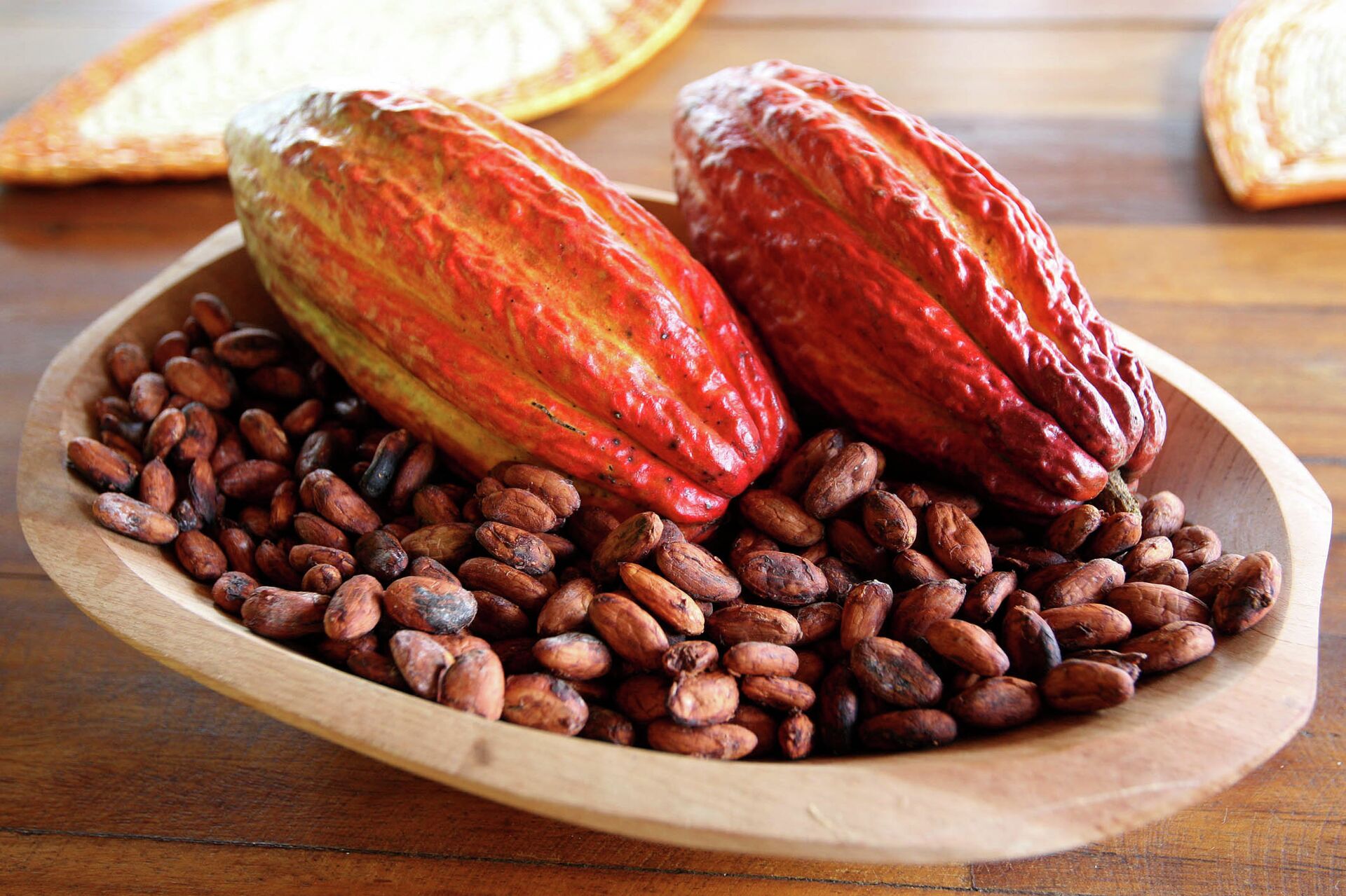 Cacao  - Sputnik Việt Nam, 1920, 28.11.2023