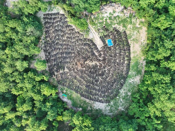 Bức ảnh Drying Field của nhiếp ảnh gia Chunshui Yu, lọt chung kết hạng mục Adapting for Tomorrow cuộc thi The Environmental Photographer of the Year 2023 - Sputnik Việt Nam