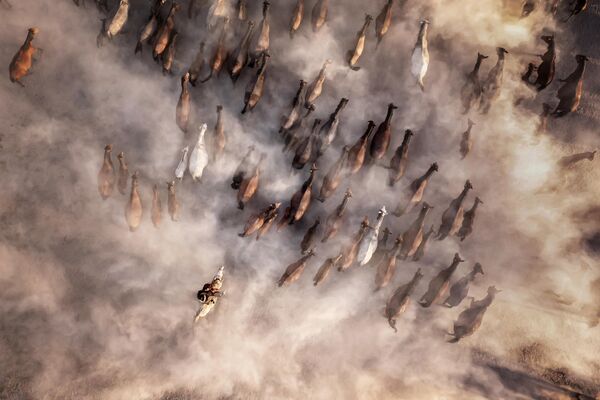 Bức ảnh Horses Of Hörmetçi của nhiếp ảnh gia F. Dilek Yurdakul, lọt chung kết hạng mục Recovering Nature cuộc thi The Environmental Photographer of the Year 2023 - Sputnik Việt Nam