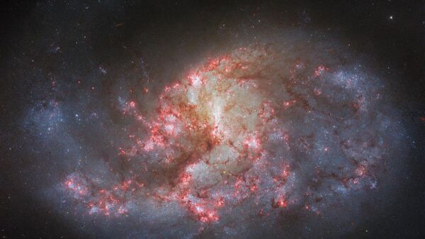 Thiên hà xoắn ốc NGC 1385, nằm cách Trái đất khoảng 30 triệu năm ánh sáng - Sputnik Việt Nam