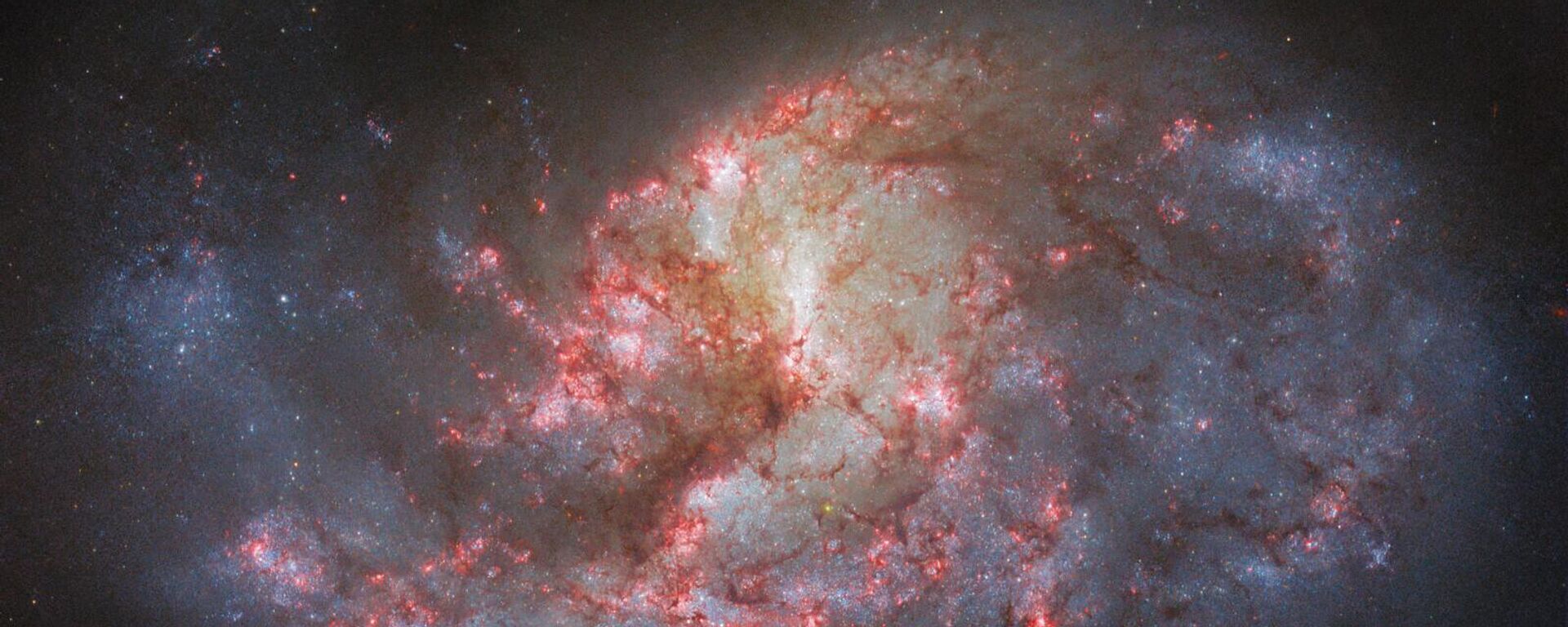 Thiên hà xoắn ốc NGC 1385, nằm cách Trái đất khoảng 30 triệu năm ánh sáng - Sputnik Việt Nam, 1920, 09.04.2024