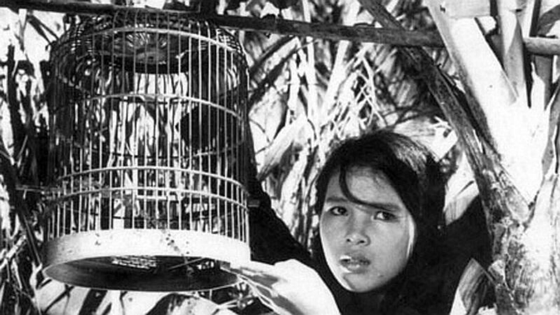 Con chim vành khuyên (1962) - Sputnik Việt Nam, 1920, 15.12.2023